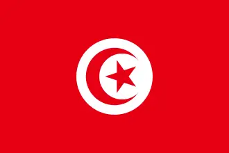 Tunis: bayroği